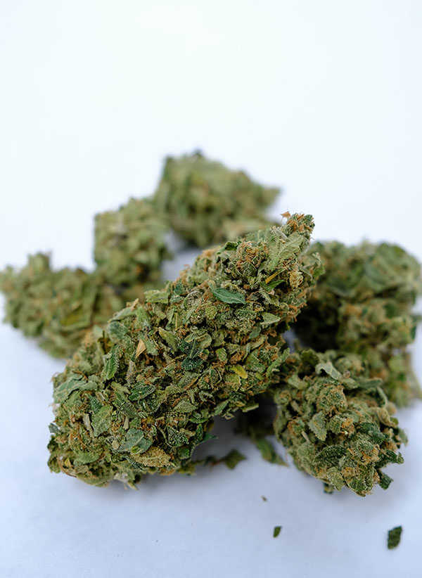 Fatra Hemp CBD šišky