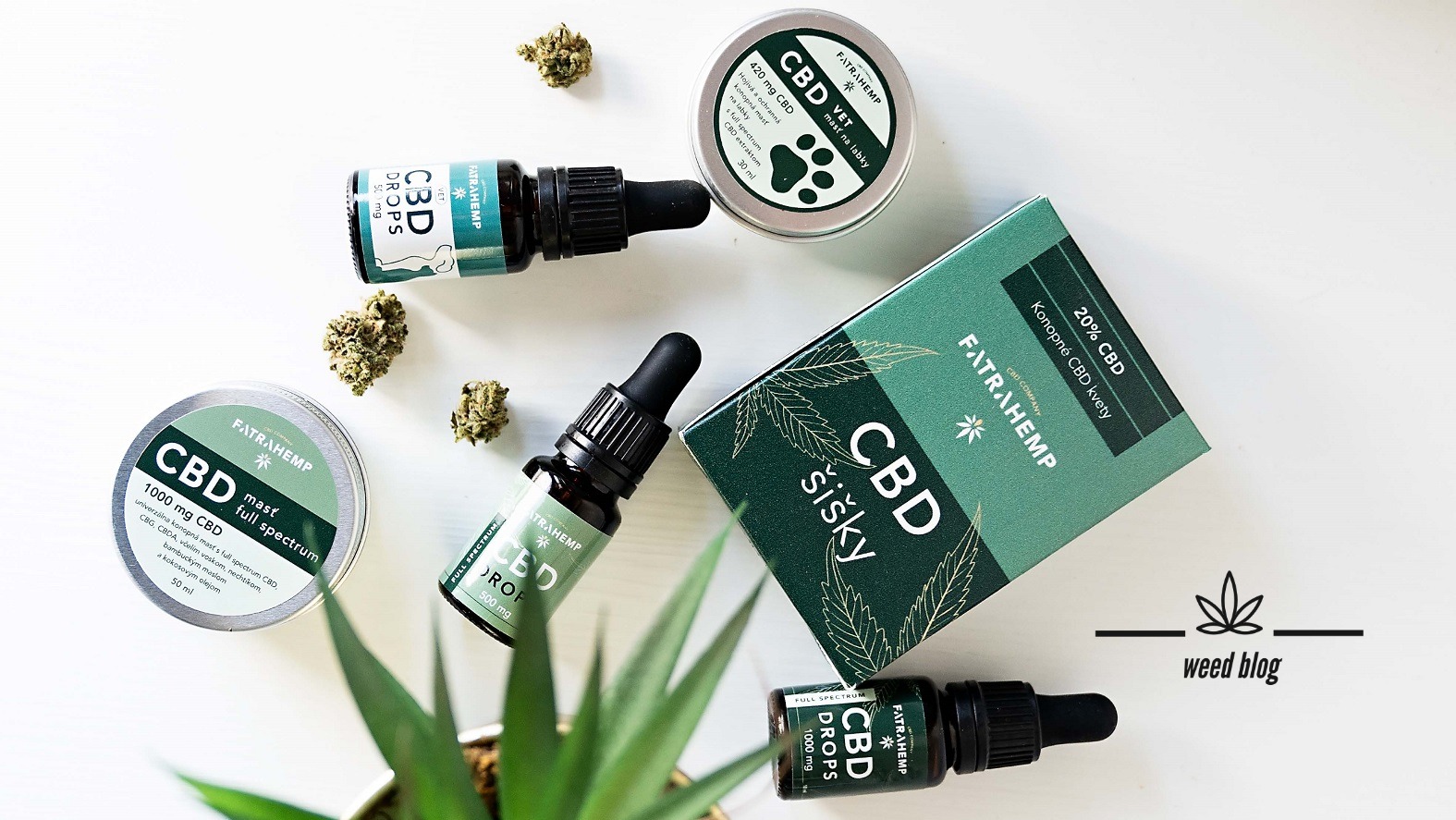 Najlepšie CBD produkty vyrába aj slovenská značka Fatra Hemp, ktorá využíva pokrokovú TFE extrakciu
