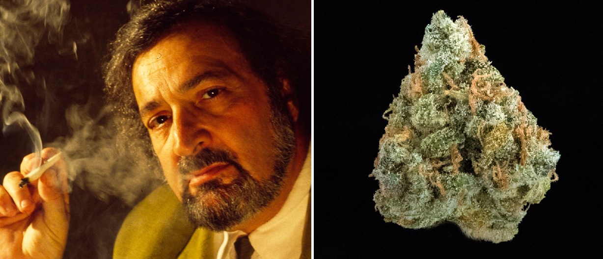 Jack Herer je legenda konopného priemyslu