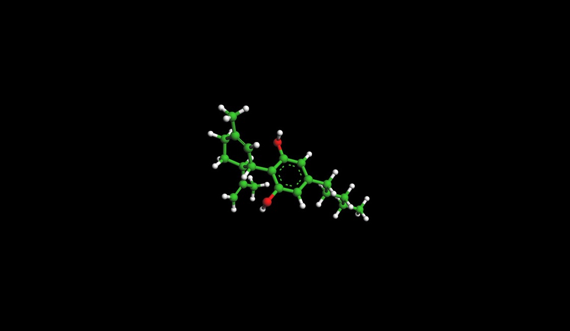 Ako funguje CBD? Endokanabinoidný systém