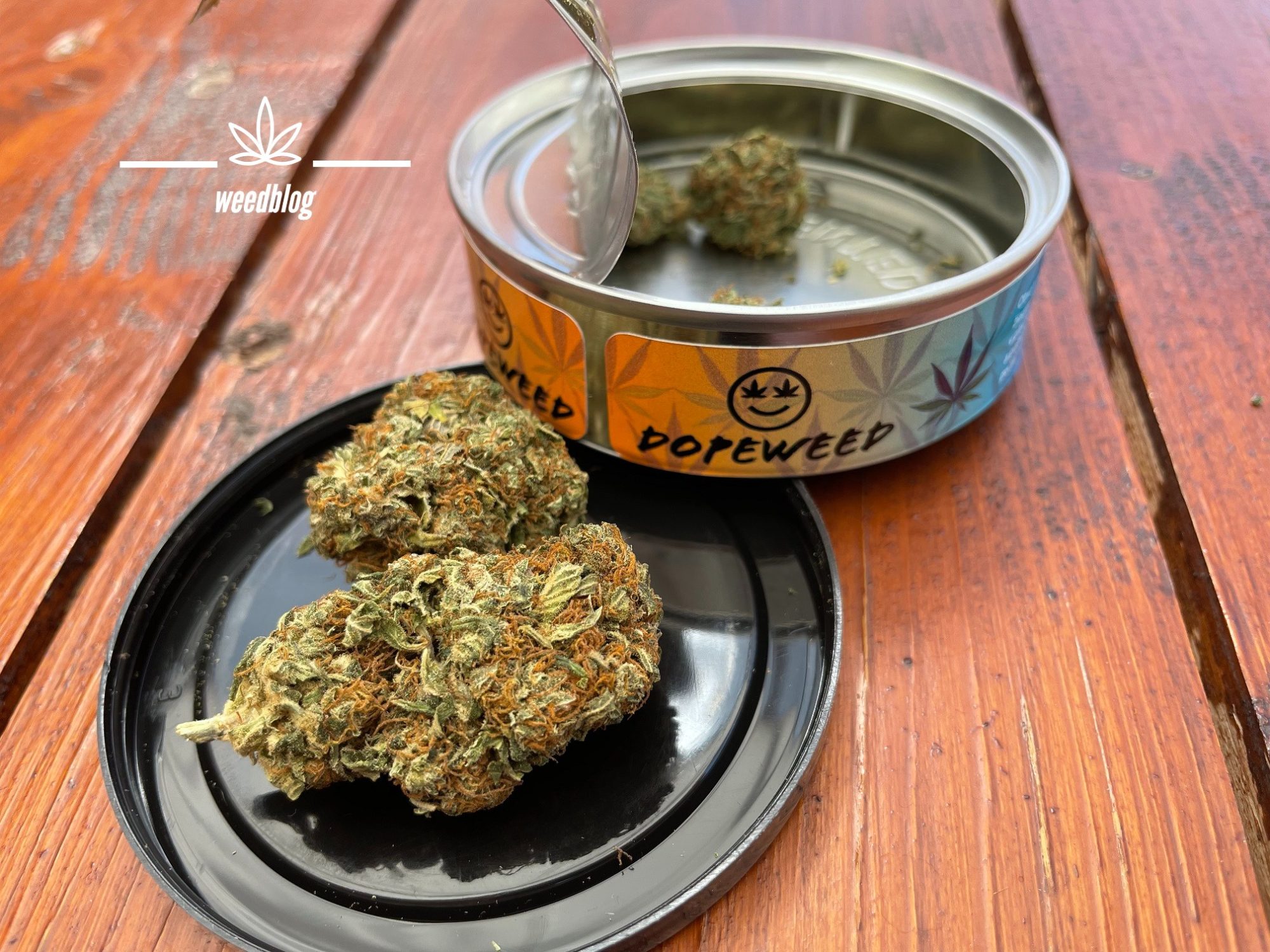 DOPEWEED CBD weed RECENZIA