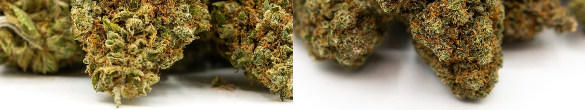 dopeweed