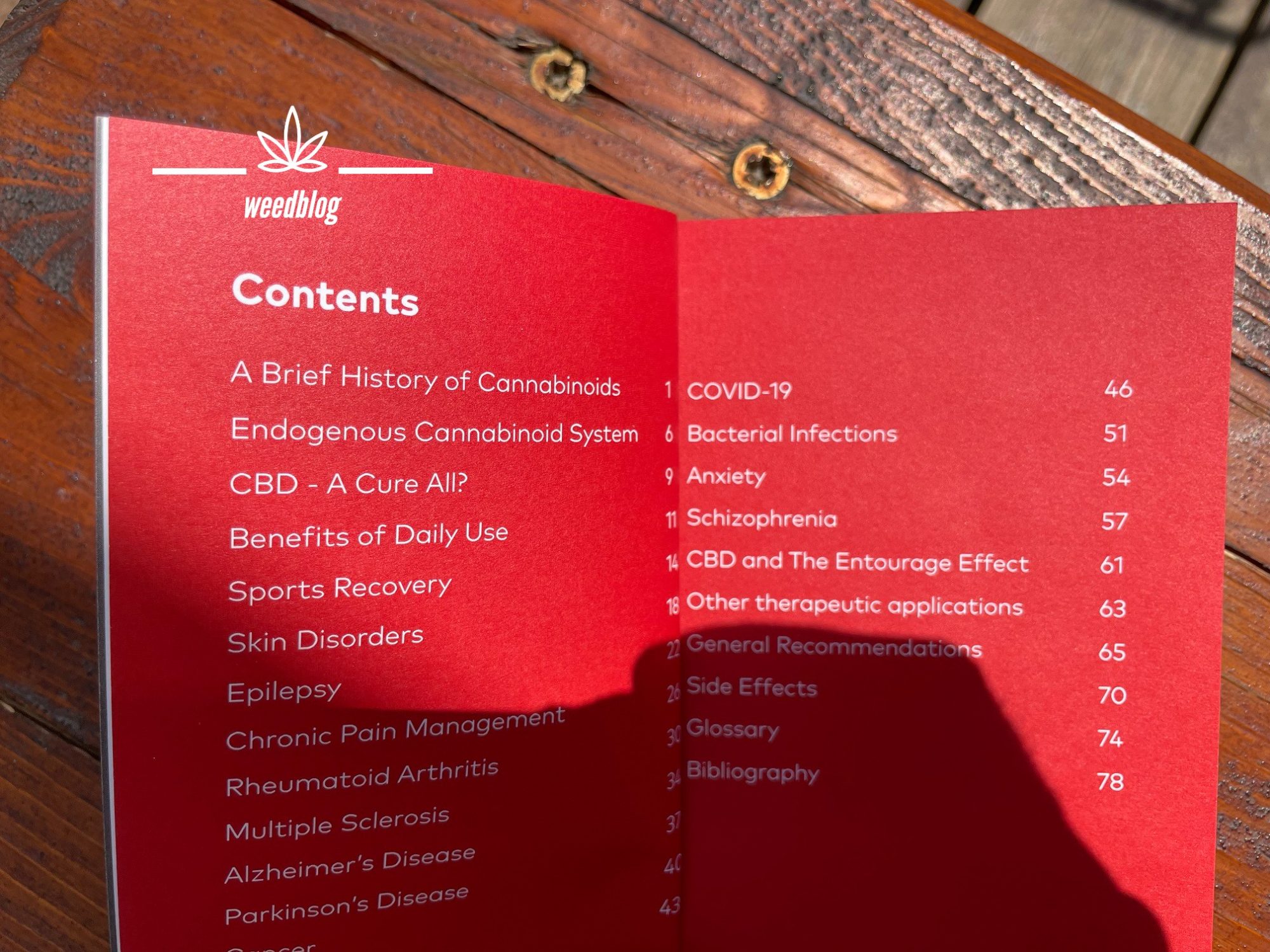 Little Red Book of CBD RECENZIA