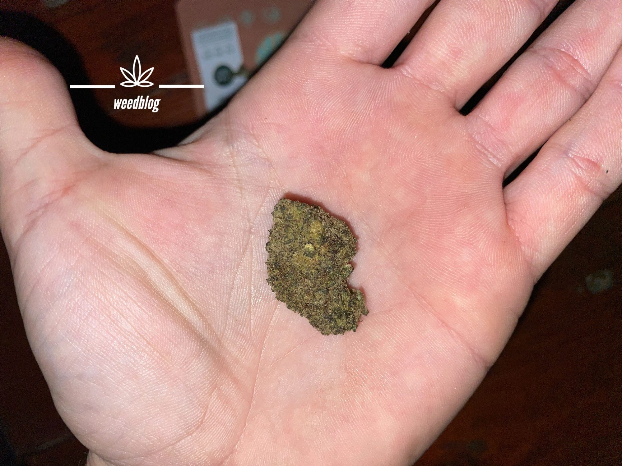 HHC point konopné HHC kvety RECENZIA weedblog