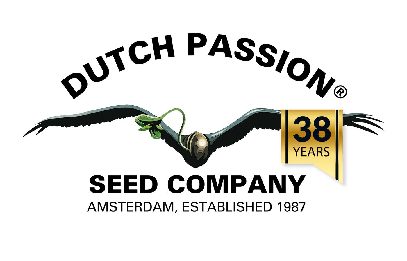 Dutch Passion